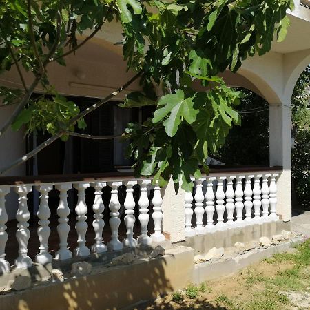 Apartments Mint Povljana - 50M From Sandy Beach 외부 사진