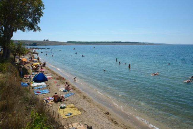 Apartments Mint Povljana - 50M From Sandy Beach 외부 사진
