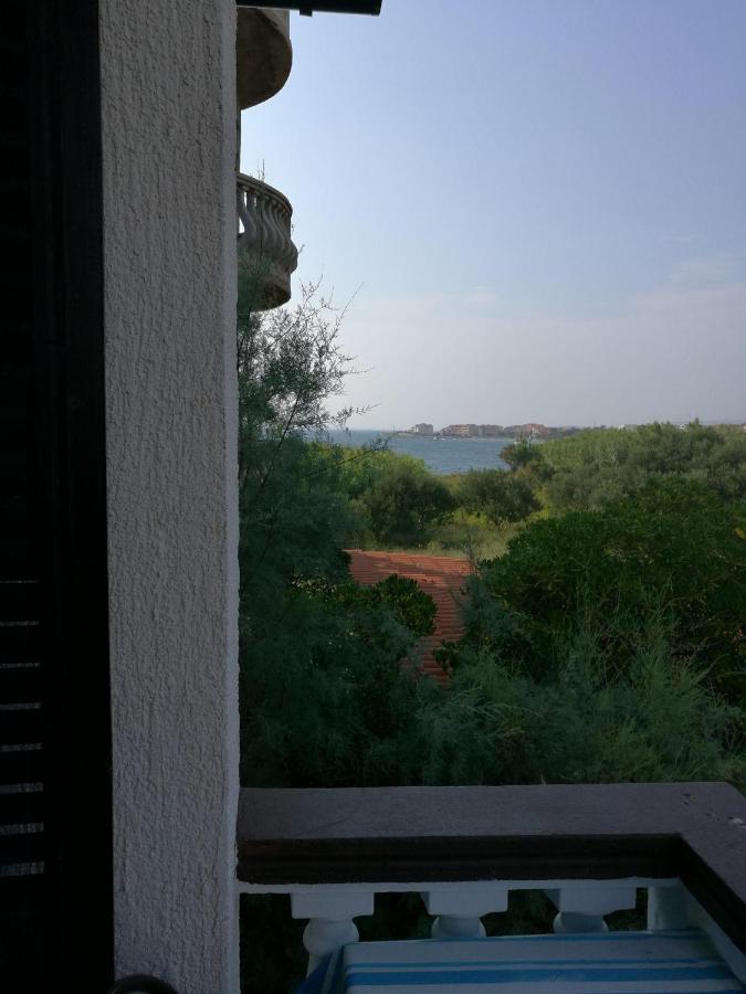 Apartments Mint Povljana - 50M From Sandy Beach 외부 사진