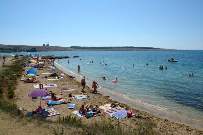 Apartments Mint Povljana - 50M From Sandy Beach 외부 사진
