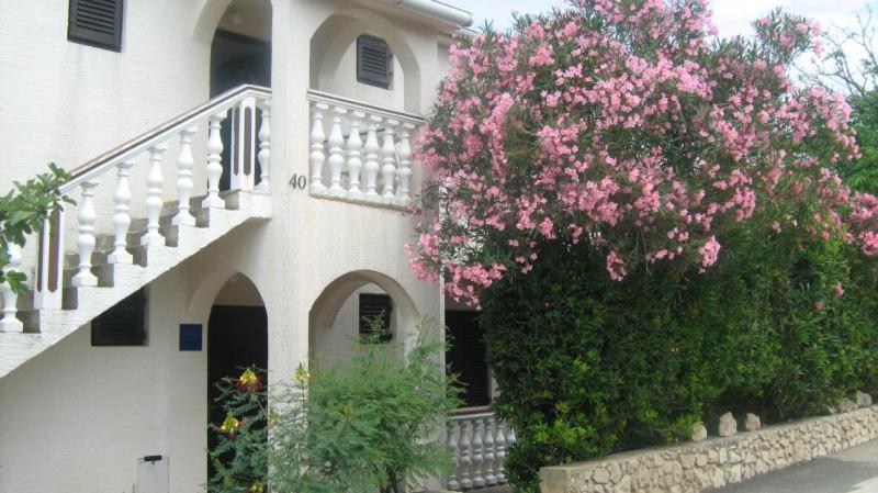 Apartments Mint Povljana - 50M From Sandy Beach 외부 사진