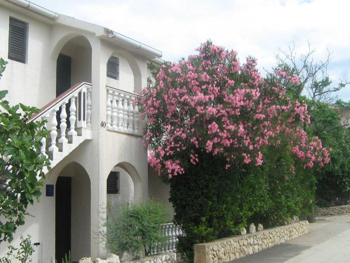 Apartments Mint Povljana - 50M From Sandy Beach 외부 사진