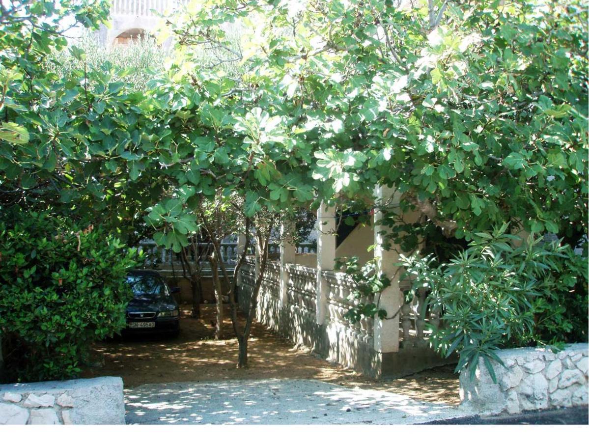 Apartments Mint Povljana - 50M From Sandy Beach 외부 사진