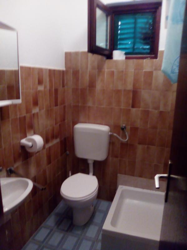 Apartments Mint Povljana - 50M From Sandy Beach 외부 사진