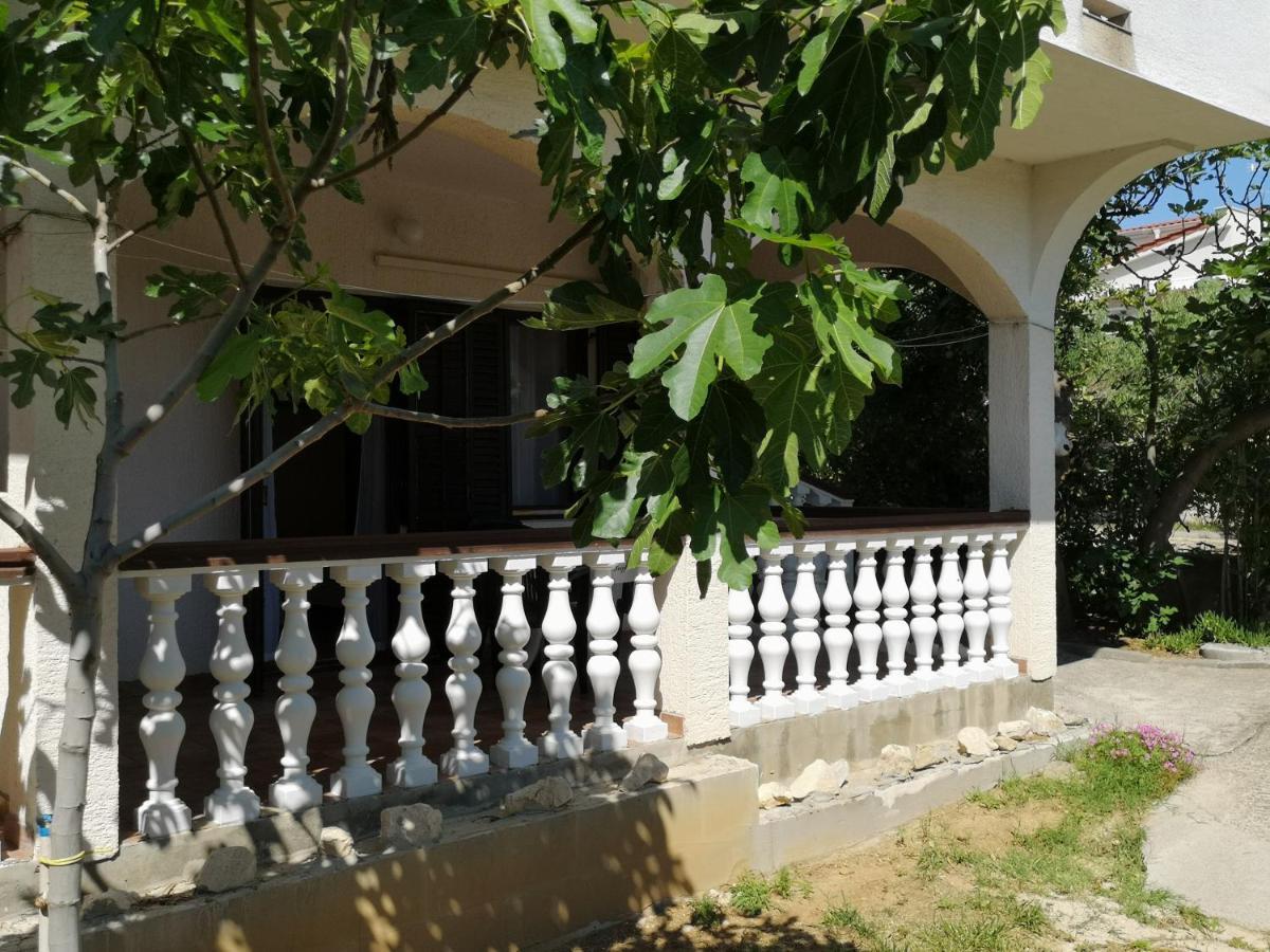 Apartments Mint Povljana - 50M From Sandy Beach 외부 사진